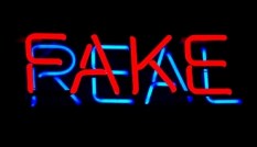 Fake/Real