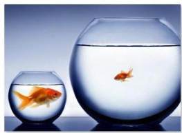 main-qimg-422a0bb3c391c3f73694531a3e847958-c